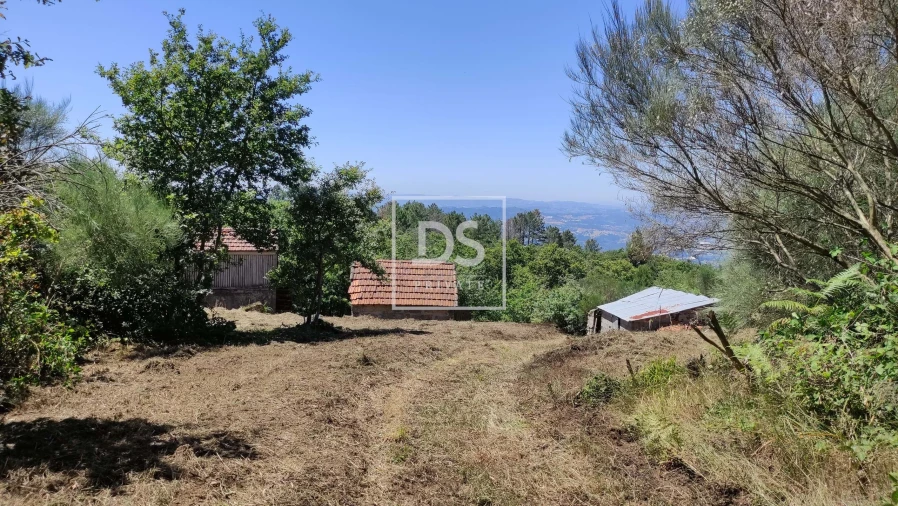 Terreno para Venda em Gouveia (São Simão) Foto 10