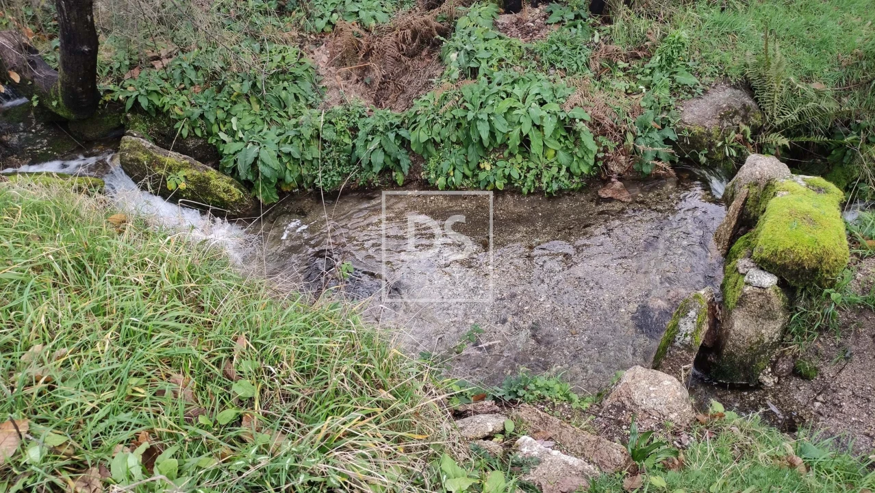 Terreno para Venda em Gouveia (São Simão) Foto 8