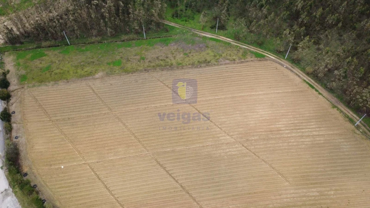 Terreno Agricola ou Rústico para Venda em Atouguia da Baleia Foto 15