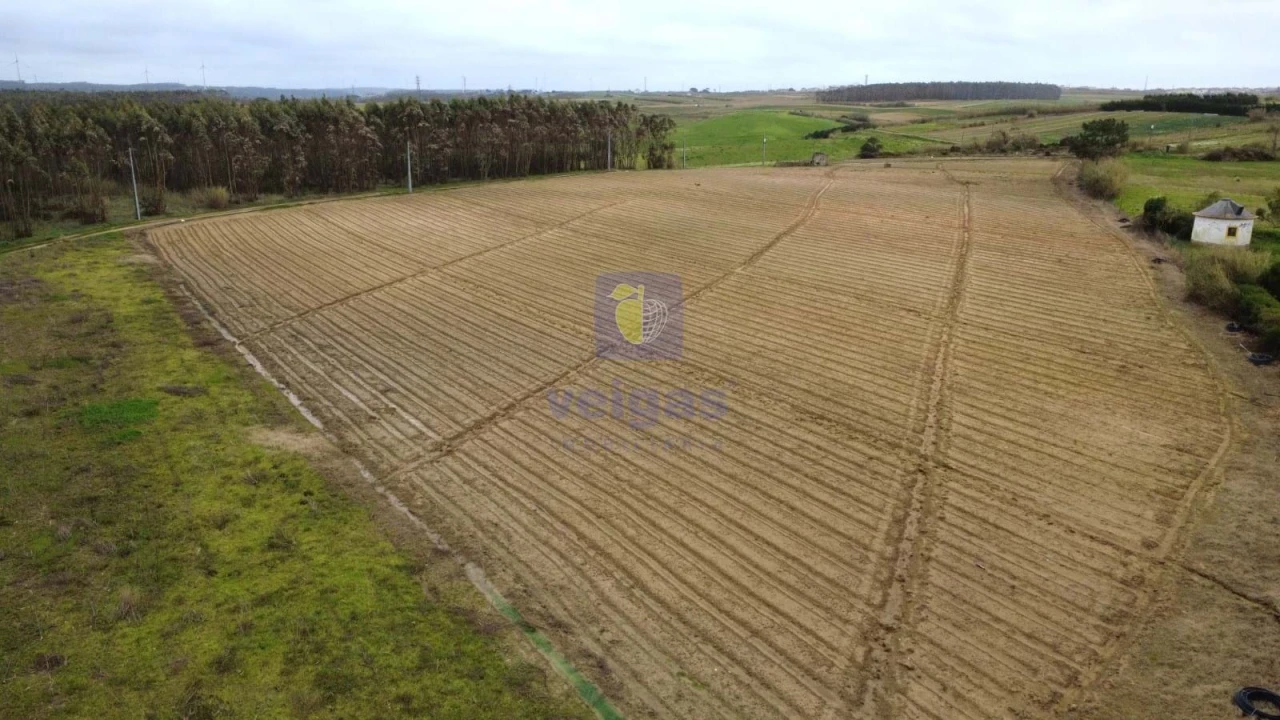 Terreno Agricola ou Rústico para Venda em Atouguia da Baleia Foto 6