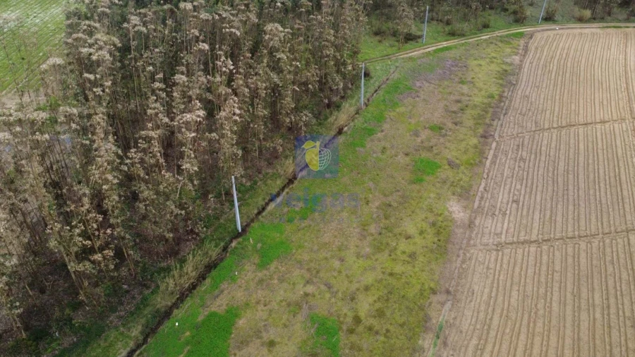 Terreno Agricola ou Rústico para Venda em Atouguia da Baleia Foto 5