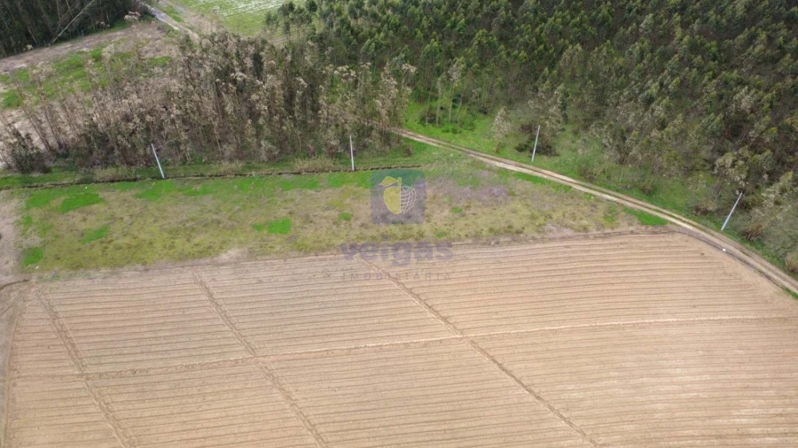 Terreno Agricola ou Rústico para Venda em Atouguia da Baleia Foto 14