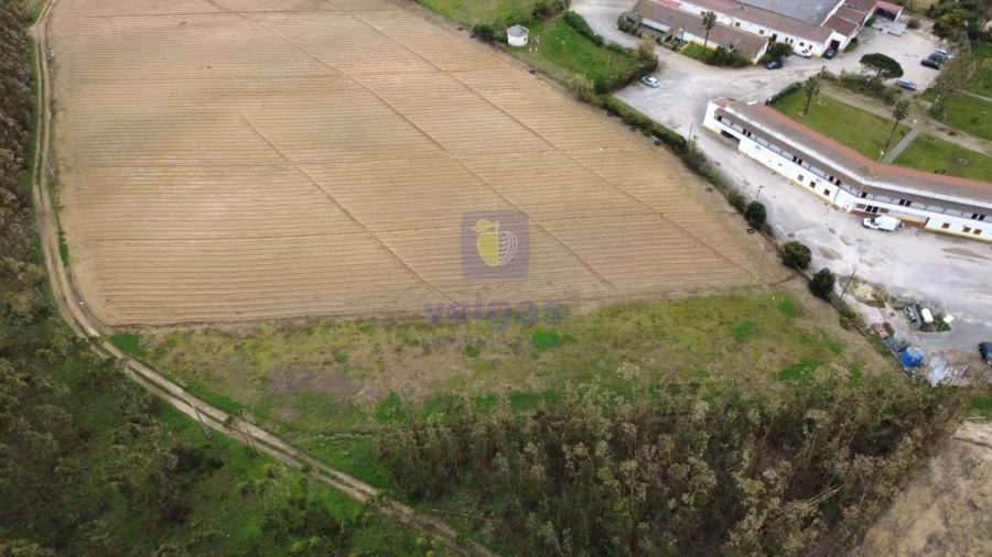 Terreno Agricola ou Rústico para Venda em Atouguia da Baleia Foto 2