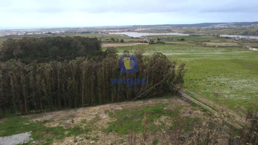 Terreno Agricola ou Rústico para Venda em Atouguia da Baleia Foto 13