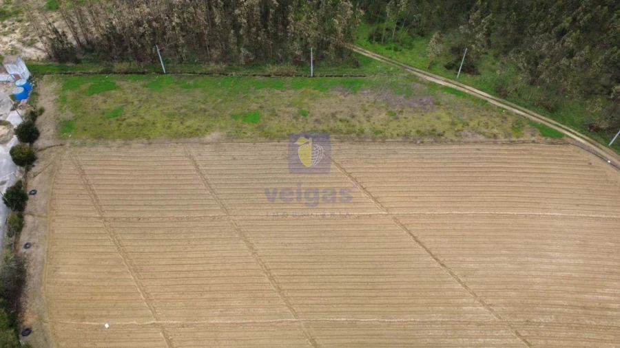 Terreno Agricola ou Rústico para Venda em Atouguia da Baleia Foto 3