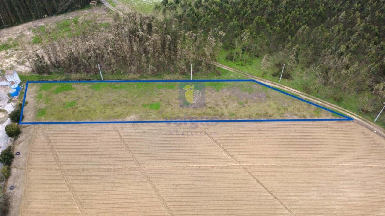 Terreno Agricola ou Rústico para Venda em Atouguia da Baleia Foto 1