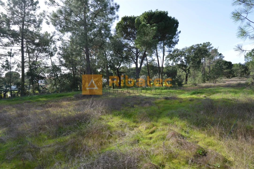 Terreno para Venda em Coruche, Fajarda e Erra Foto 4