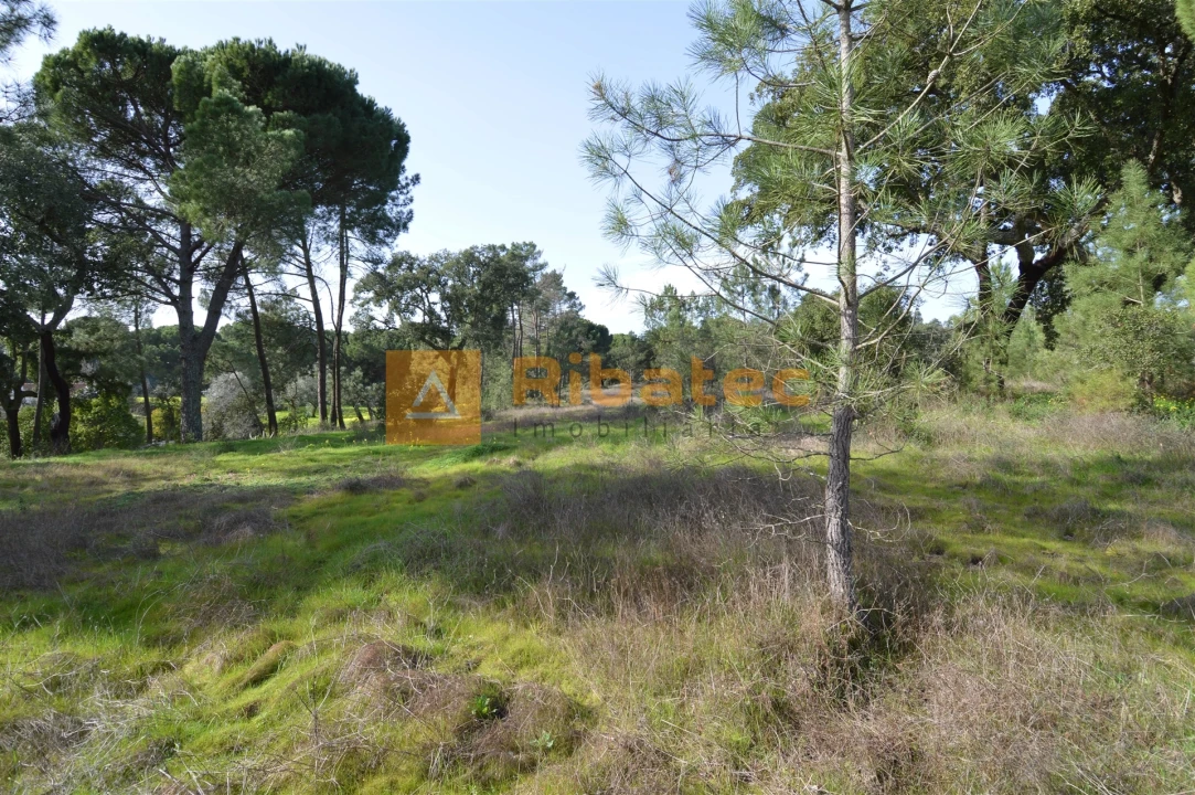Terreno para Venda em Coruche, Fajarda e Erra Foto 3