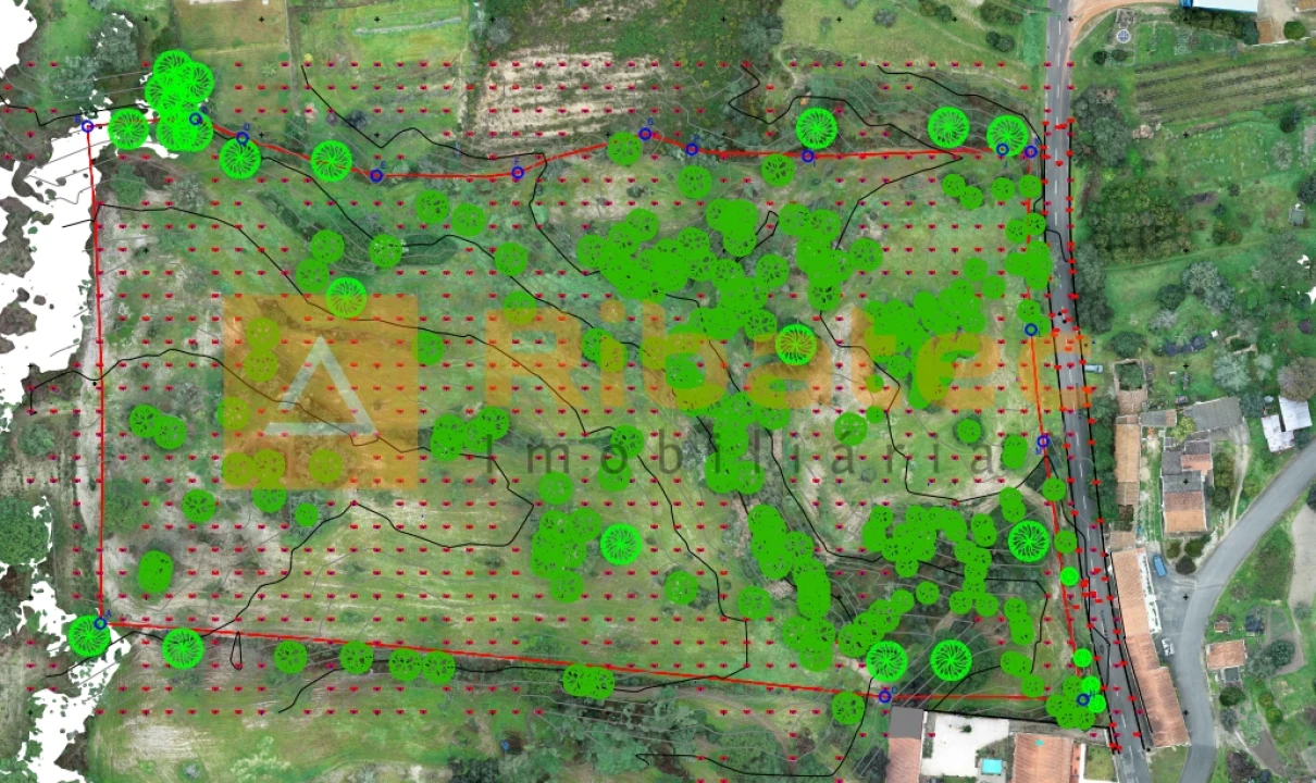 Terreno para Venda em Coruche, Fajarda e Erra Foto 12