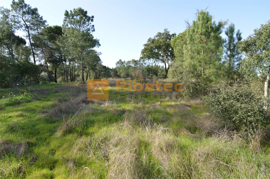 Terreno para Venda em Coruche, Fajarda e Erra Foto 8