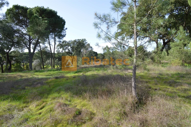 Terreno para Venda em Coruche, Fajarda e Erra Foto 3