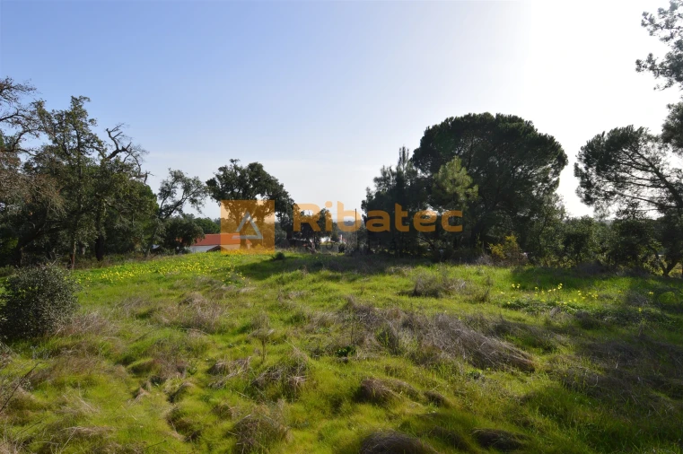 Terreno para Venda em Coruche, Fajarda e Erra Foto 5