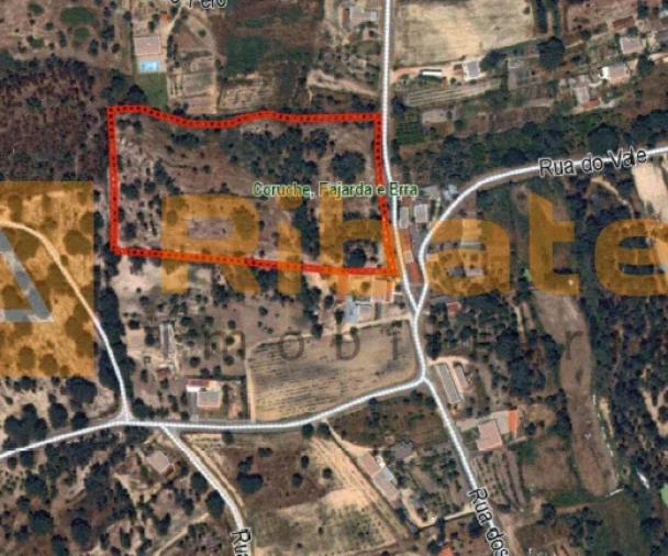 Terreno para Venda em Coruche, Fajarda e Erra Foto 13