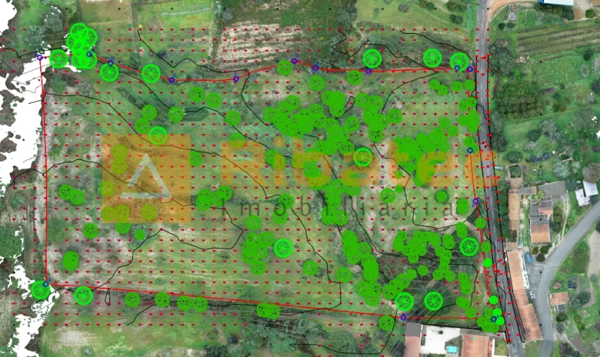 Terreno para Venda em Coruche, Fajarda e Erra Foto 12