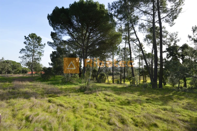 Terreno para Venda em Coruche, Fajarda e Erra Foto 9