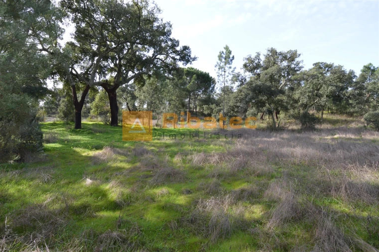 Terreno para Venda em Coruche, Fajarda e Erra Foto 2