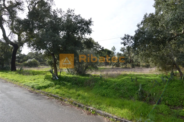 Terreno para Venda em Coruche, Fajarda e Erra Foto 1