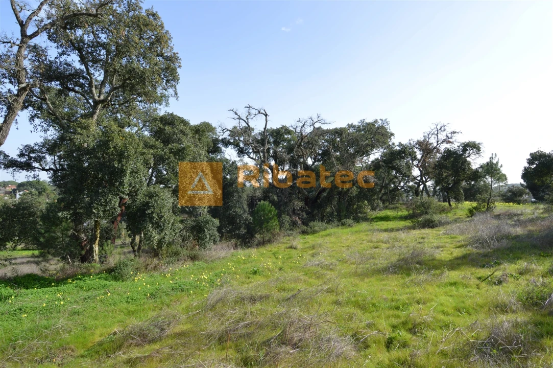 Terreno para Venda em Coruche, Fajarda e Erra Foto 6