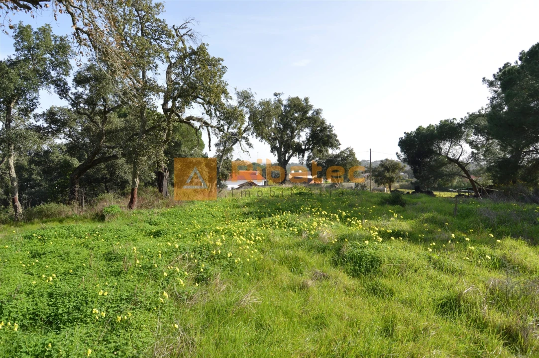 Terreno para Venda em Coruche, Fajarda e Erra Foto 7