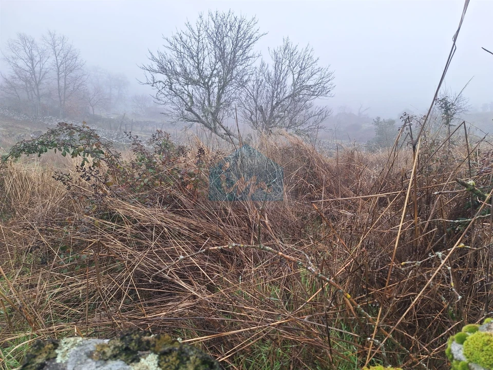 Moradia T0 para Venda em Carva e Vilares Foto 11