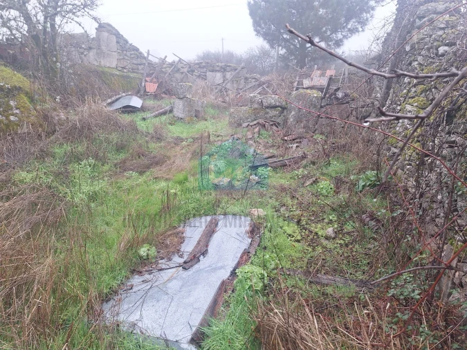 Moradia T0 para Venda em Carva e Vilares Foto 12