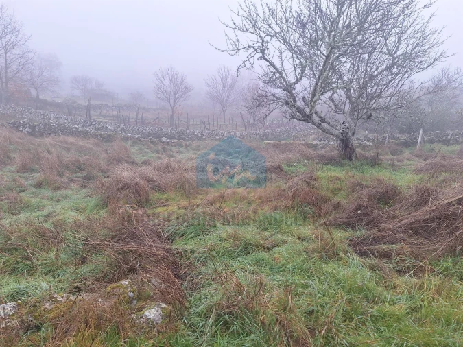 Moradia T0 para Venda em Carva e Vilares Foto 5