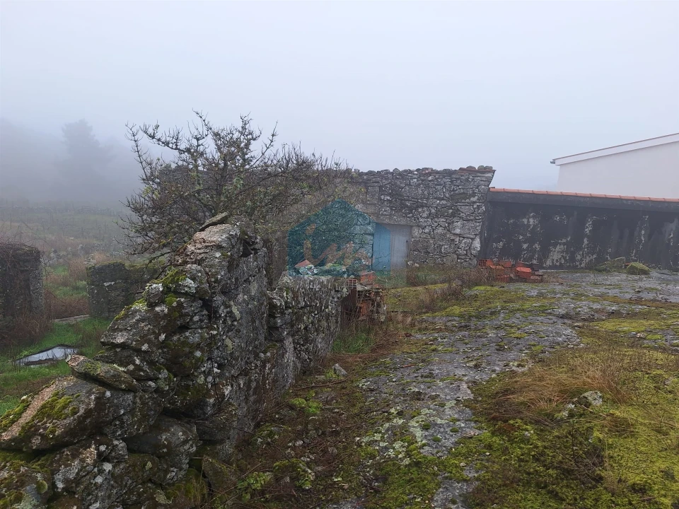 Moradia T0 para Venda em Carva e Vilares Foto 3