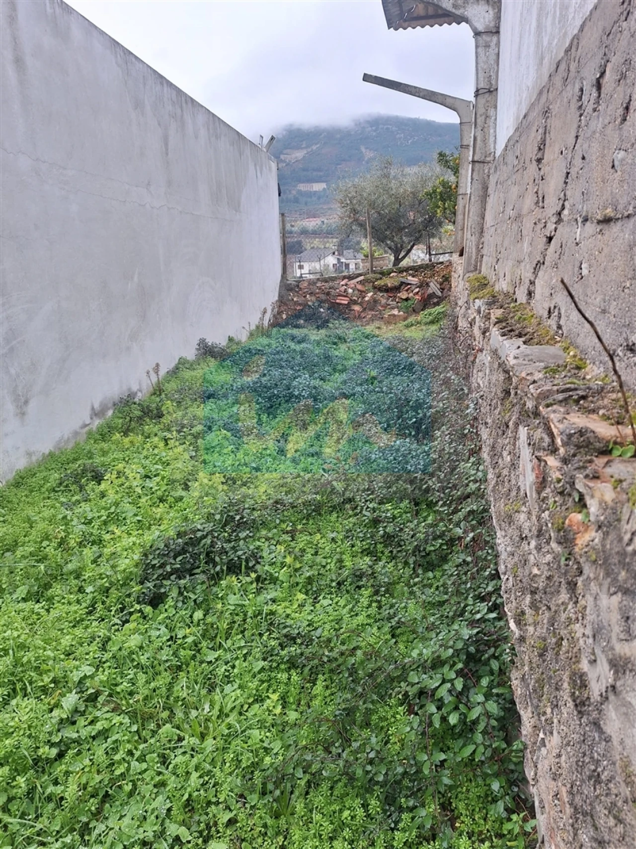 Moradia T0 para Venda em Carva e Vilares Foto 13