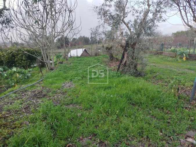 Moradia T3 para Venda em Currelos, Papízios e Sobral Foto 33