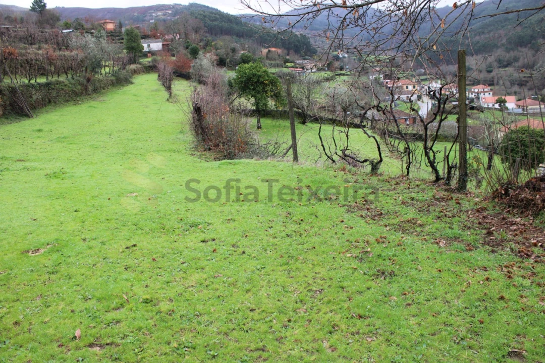 Moradia T4 para Venda em Nespereira Foto 12