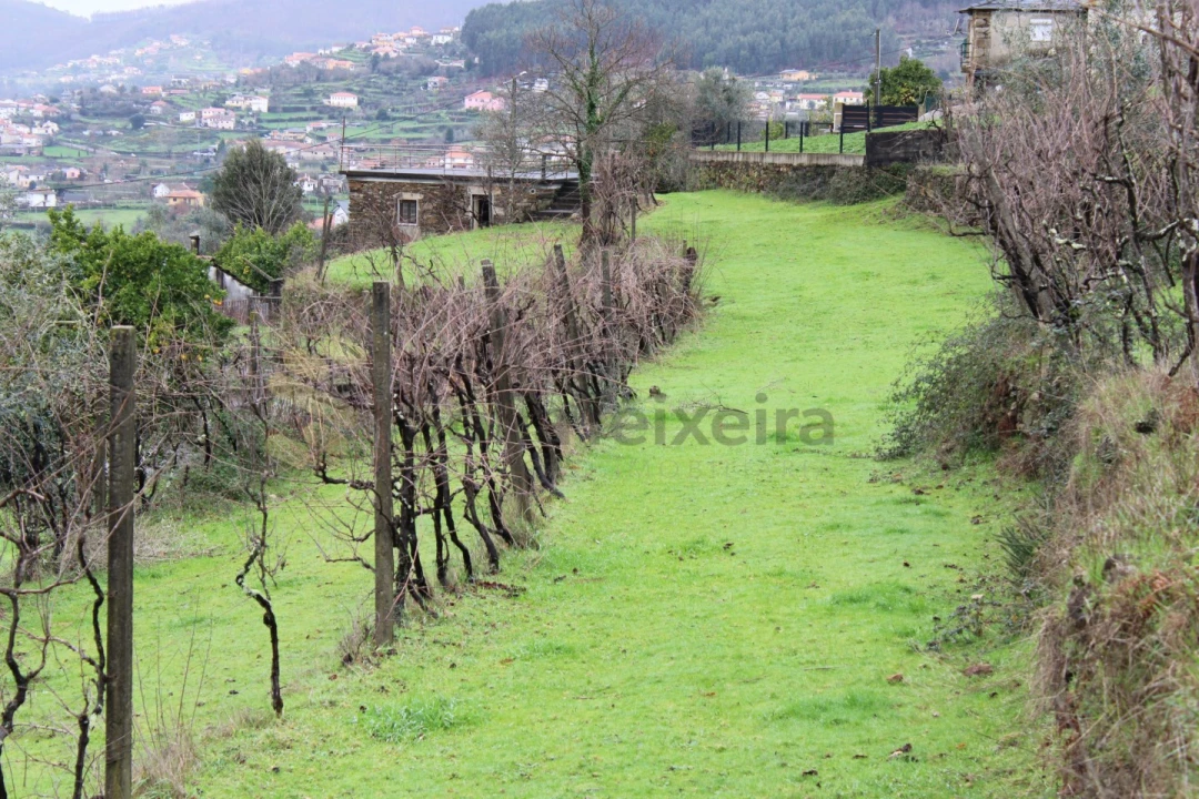 Moradia T4 para Venda em Nespereira Foto 14