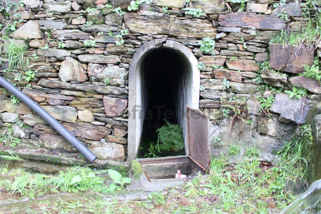 Moradia T4 para Venda em Nespereira Foto 45