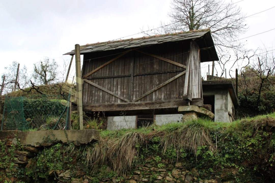 Moradia T4 para Venda em Nespereira Foto 48