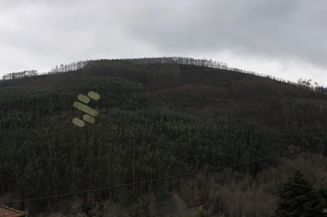 Moradia T4 para Venda em Nespereira Foto 50