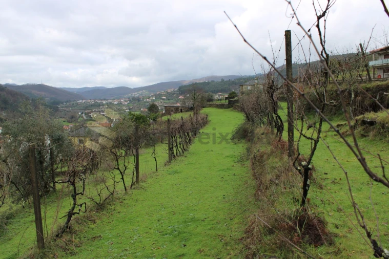 Moradia T4 para Venda em Nespereira Foto 13