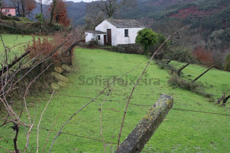 Moradia T4 para Venda em Nespereira Foto 17