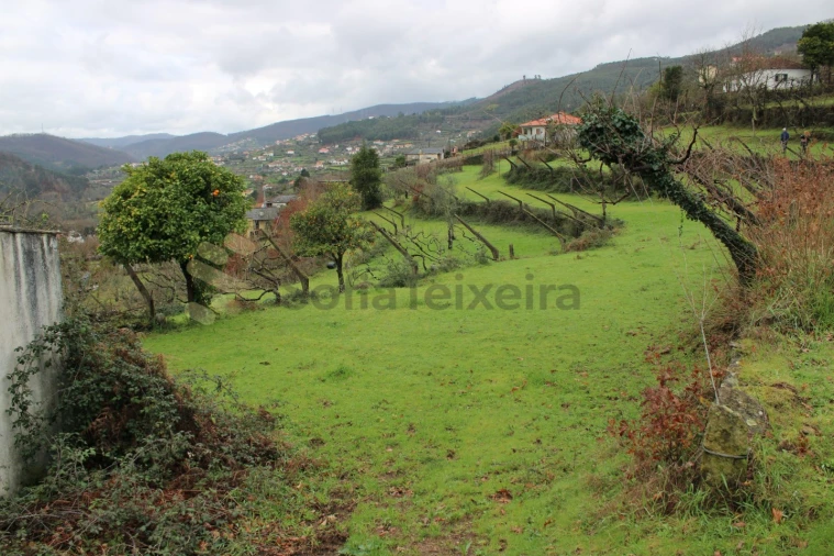 Moradia T4 para Venda em Nespereira Foto 19