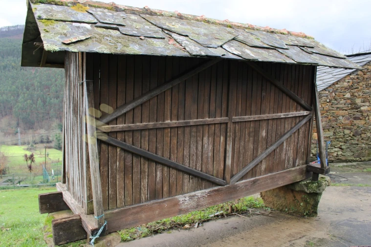 Moradia T4 para Venda em Nespereira Foto 24