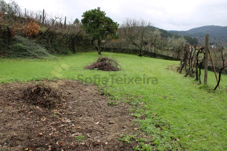 Moradia T4 para Venda em Nespereira Foto 25