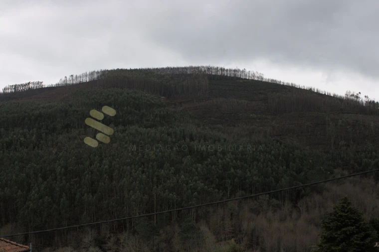 Moradia T4 para Venda em Nespereira Foto 50