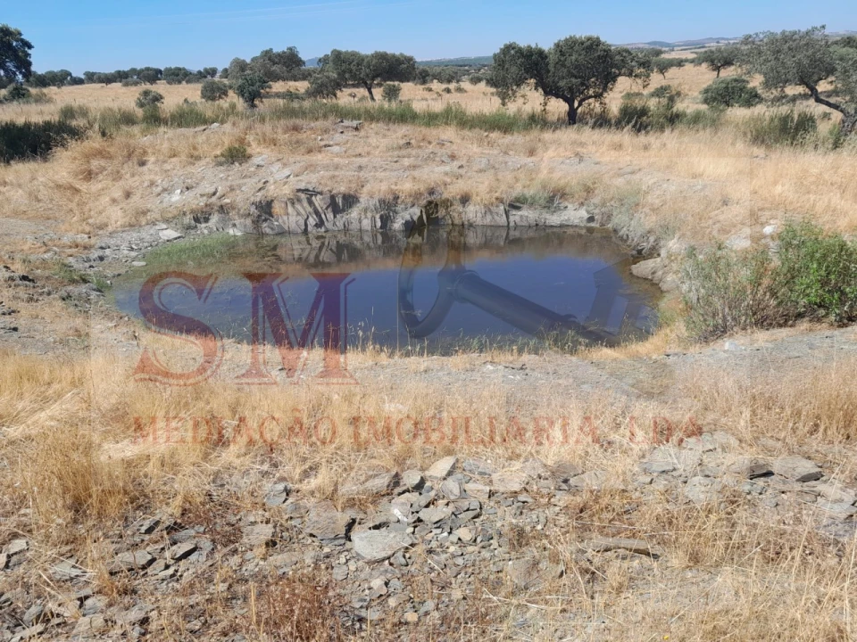 Terreno Agricola ou Rústico para Venda em Capelins (Santo Antonio) Foto 1