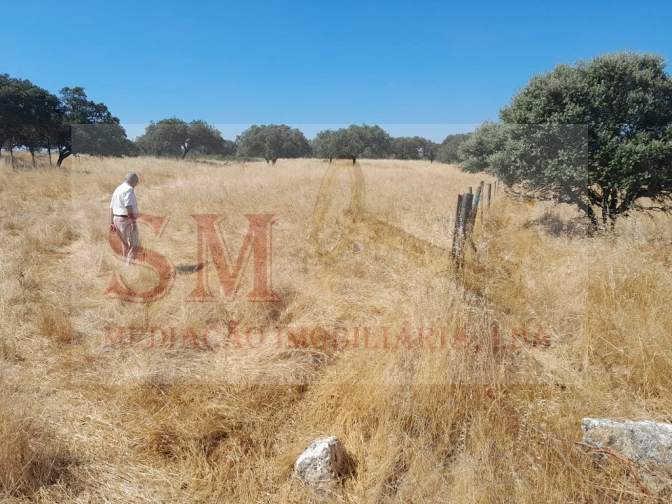 Terreno Agricola ou Rústico para Venda em Capelins (Santo Antonio) Foto 4