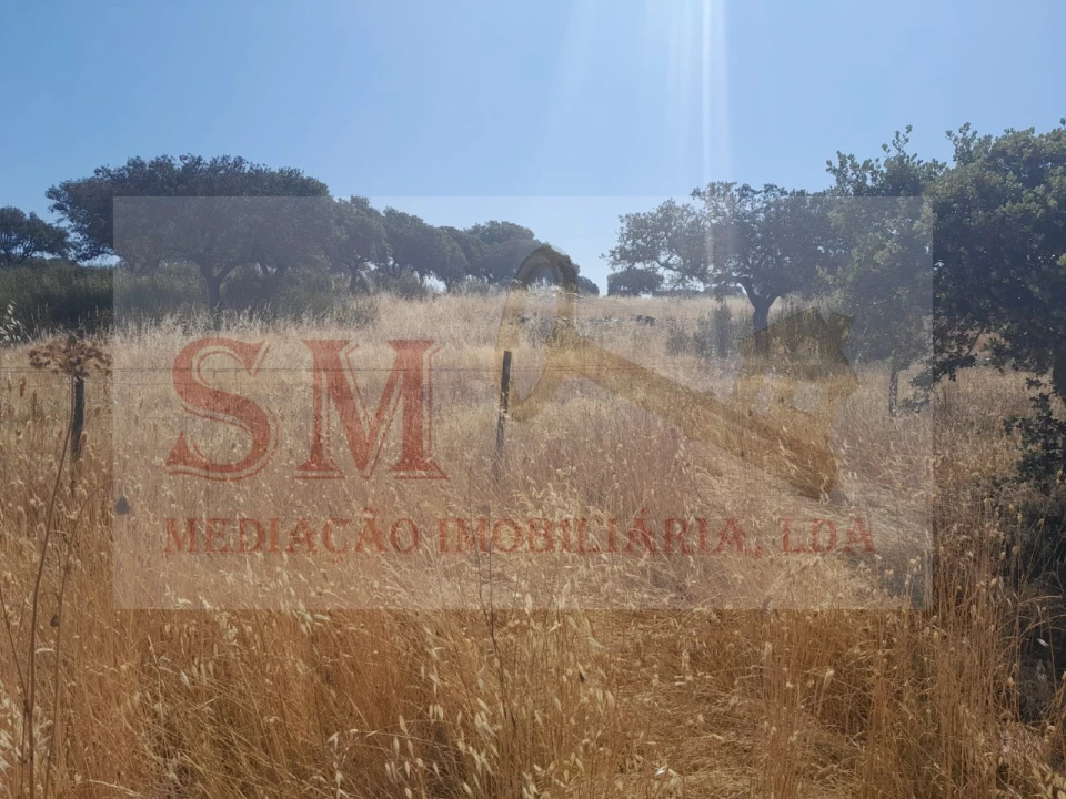 Terreno Agricola ou Rústico para Venda em Capelins (Santo Antonio) Foto 6
