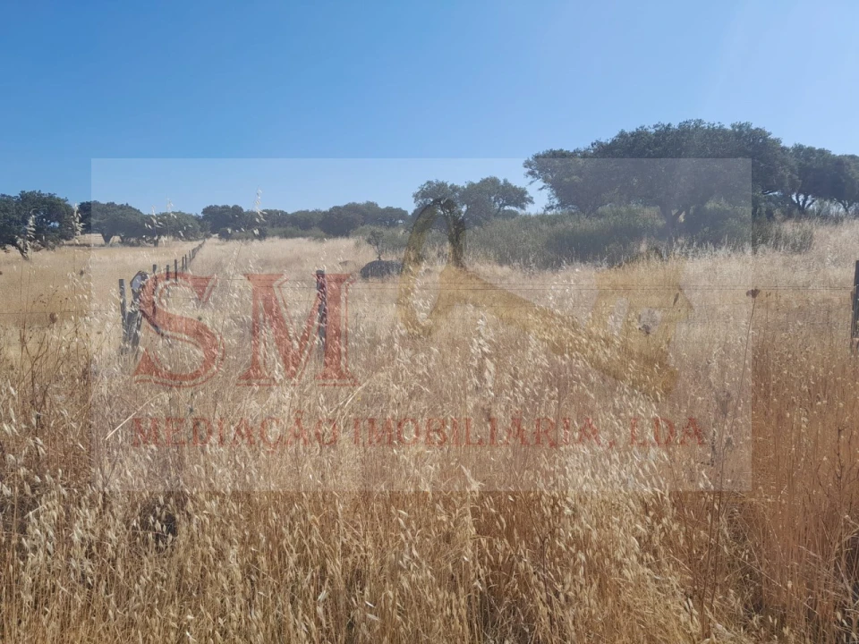 Terreno Agricola ou Rústico para Venda em Capelins (Santo Antonio) Foto 7