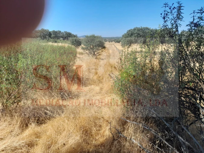 Terreno Agricola ou Rústico para Venda em Capelins (Santo Antonio) Foto 2
