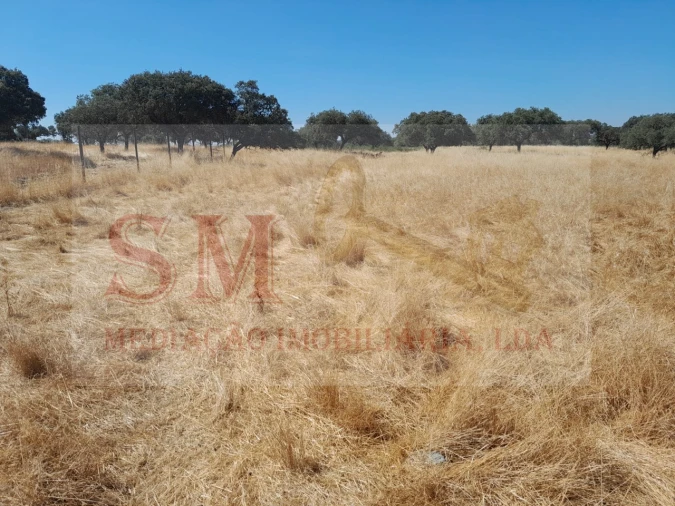 Terreno Agricola ou Rústico para Venda em Capelins (Santo Antonio) Foto 5