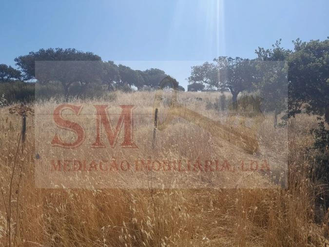 Terreno Agricola ou Rústico para Venda em Capelins (Santo Antonio) Foto 6