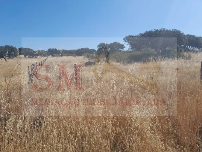 Terreno Agricola ou Rústico para Venda em Capelins (Santo Antonio) Foto 7