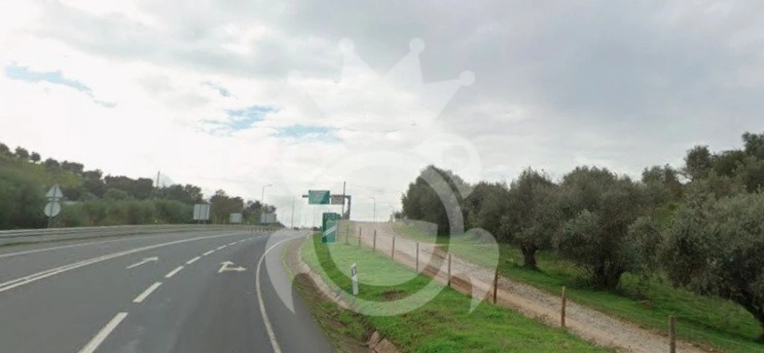 Terreno para Venda em Portel Foto 4