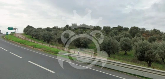 Terreno para Venda em Portel